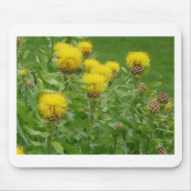 yellow thistle mousepads
