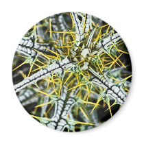 Yellow Thistle Thorns, Natural Refrigerator Magnet