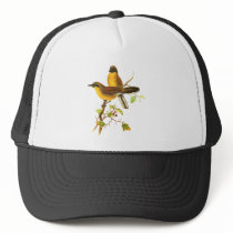 Yellow-throated Laughingthrush Mesh Hats