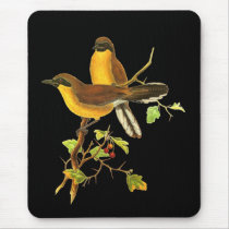 Yellow-throated Laughingthrush Mouse Pad