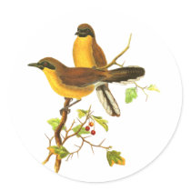 Yellow-throated Laughingthrush Sticker