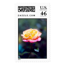 Yellow to Pink Rose Postage