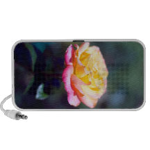 Yellow to Pink Rose speaker