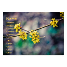 Yellow tree flowers business cards