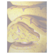 Yellow-tree python, baby letterhead design