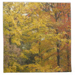 Yellow Trees Of Autumn Napkins