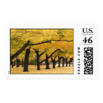 Yellow trees postage