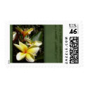 Yellow tropical plumeria flower postage