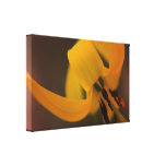 Yellow Trout Lily Gallery Wrap Canvas