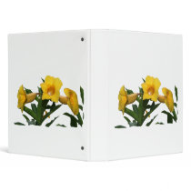 Yellow Trumpet Flowers cutout photo 3 Ring Binder