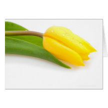 Yellow Tulip Cards