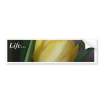 Yellow Tulip Flower bumper stickers