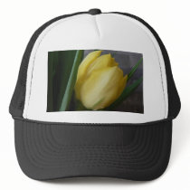 Yellow Tulip Flower hats