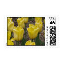 Yellow Tulip Flower Stamp