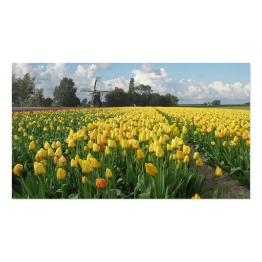 Yellow Tulip Flowers Field Windmill Landscape Business Card Templates (front side)