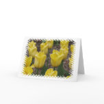 Yellow Tulip Flowers Greeting Card