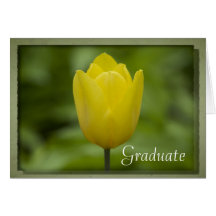 Yellow Tulip Graduation Card