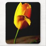 Yellow Tulip Mousepad mousepads