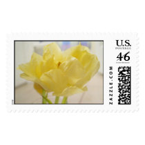 Yellow Tulip postage