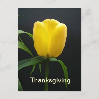Yellow tulip thanksgiving postcard