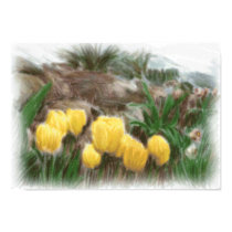 Yellow Tulips 2 posters