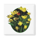 Yellow Tulips and a Orange Tulip magnet