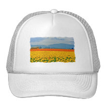 Yellow Tulips and School Bus hats