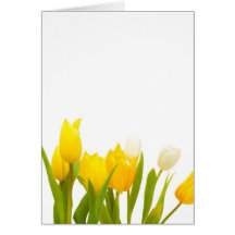 Yellow tulips greeting card