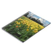 Yellow Tulips in a Field & Windmill Holland Notebooks