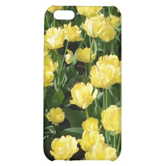 Yellow Tulips iPhone 5 Case