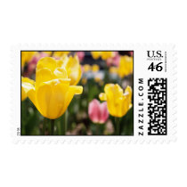 Yellow Tulips Postage Stamps stamps