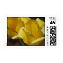Yellow Tulips Postage Stamps