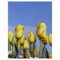 Yellow Tulips Shining letterhead