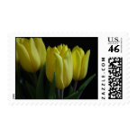 Yellow Tulips stamps