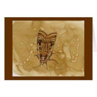 Yellow Underwing Moth card