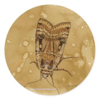 Yellow Underwing Moth Sticker sticker