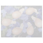 Yellow Violet seeds (Viola papilionacea) flowers Letterhead