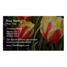 Yellow W/ Red Tulips flowers Business Card Templates