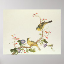 Yellow Wagtail with blue head Posters