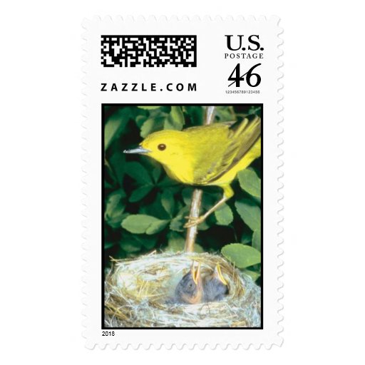 Yellow Warbler Bird  feeding offsping Postage Stamp
