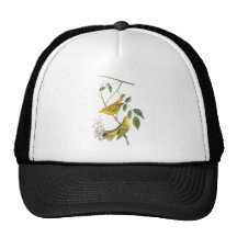 Yellow Warbler, John Audubon Hats