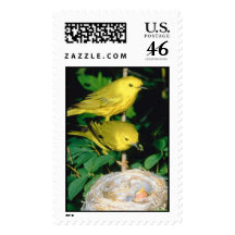 Yellow Warbler Pair  feeding offsping Postage Stamps