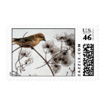 Yellow warbler stamps