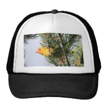 Yellow Warbler Trucker Hat