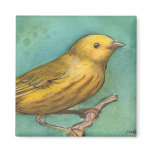 Yellow Warbler Watercolor Refrigerator Magnets