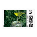 Yellow Warbler with two nestlings Stamp