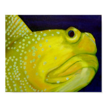 Yellow Watchman Goby Fish posters by johnstires Yellow Watchman Goby Fish posters