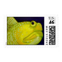 Yellow Watchman Goby Fish Stamp by johnstires Yellow Watchman Goby Fish Stamp