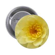 Yellow Water Lily Button