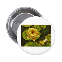 Yellow Water Lily Button